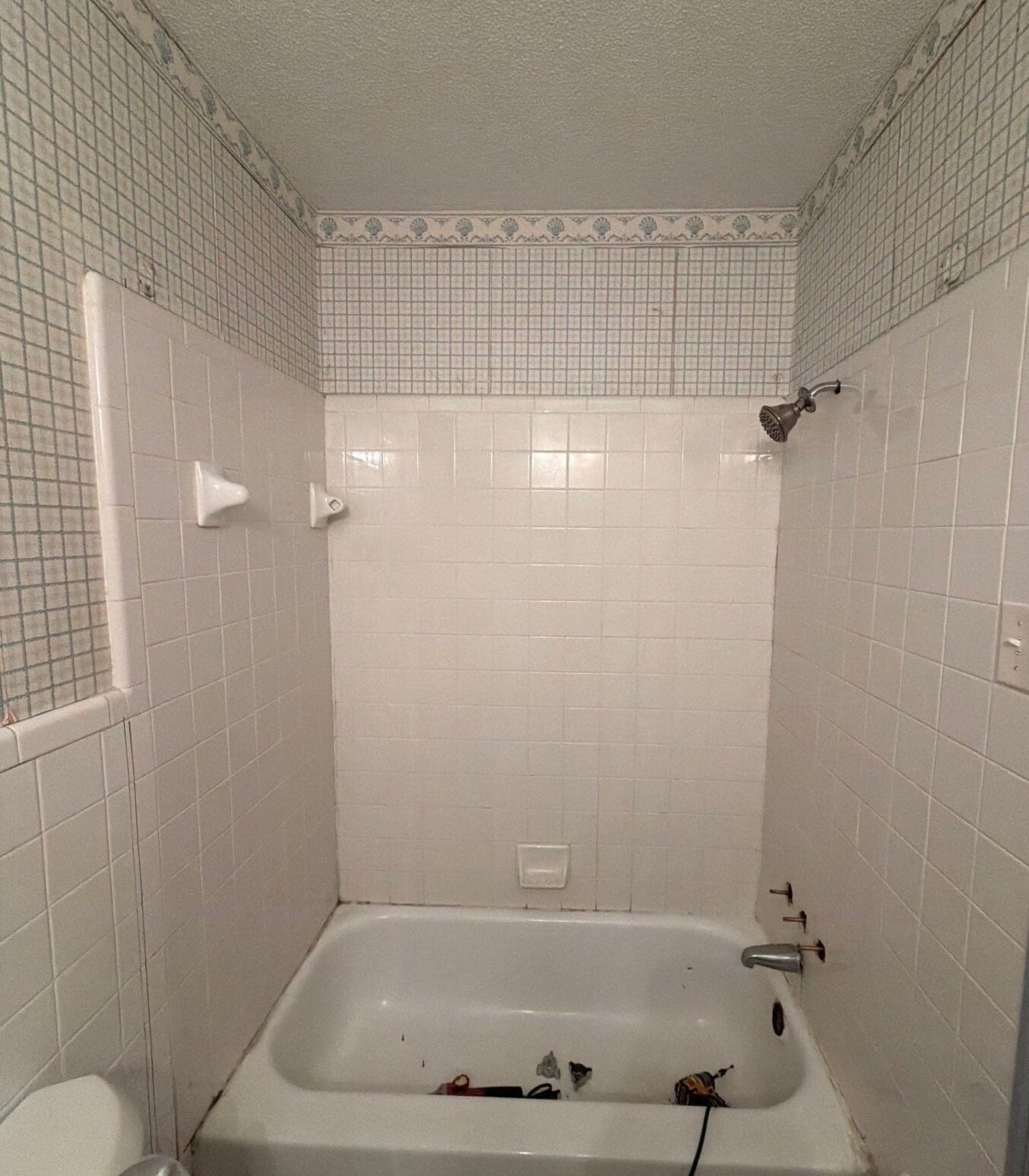 Before Bath Remodel