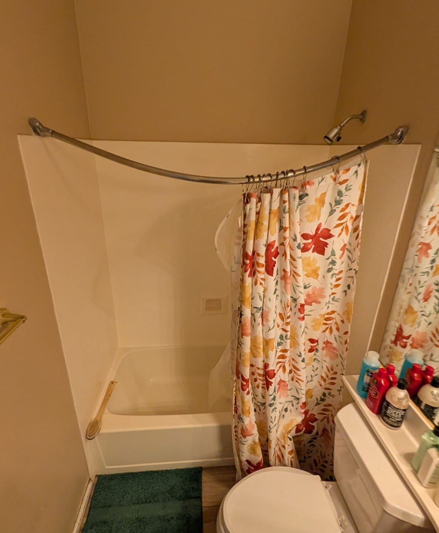 Before Bath Remodel