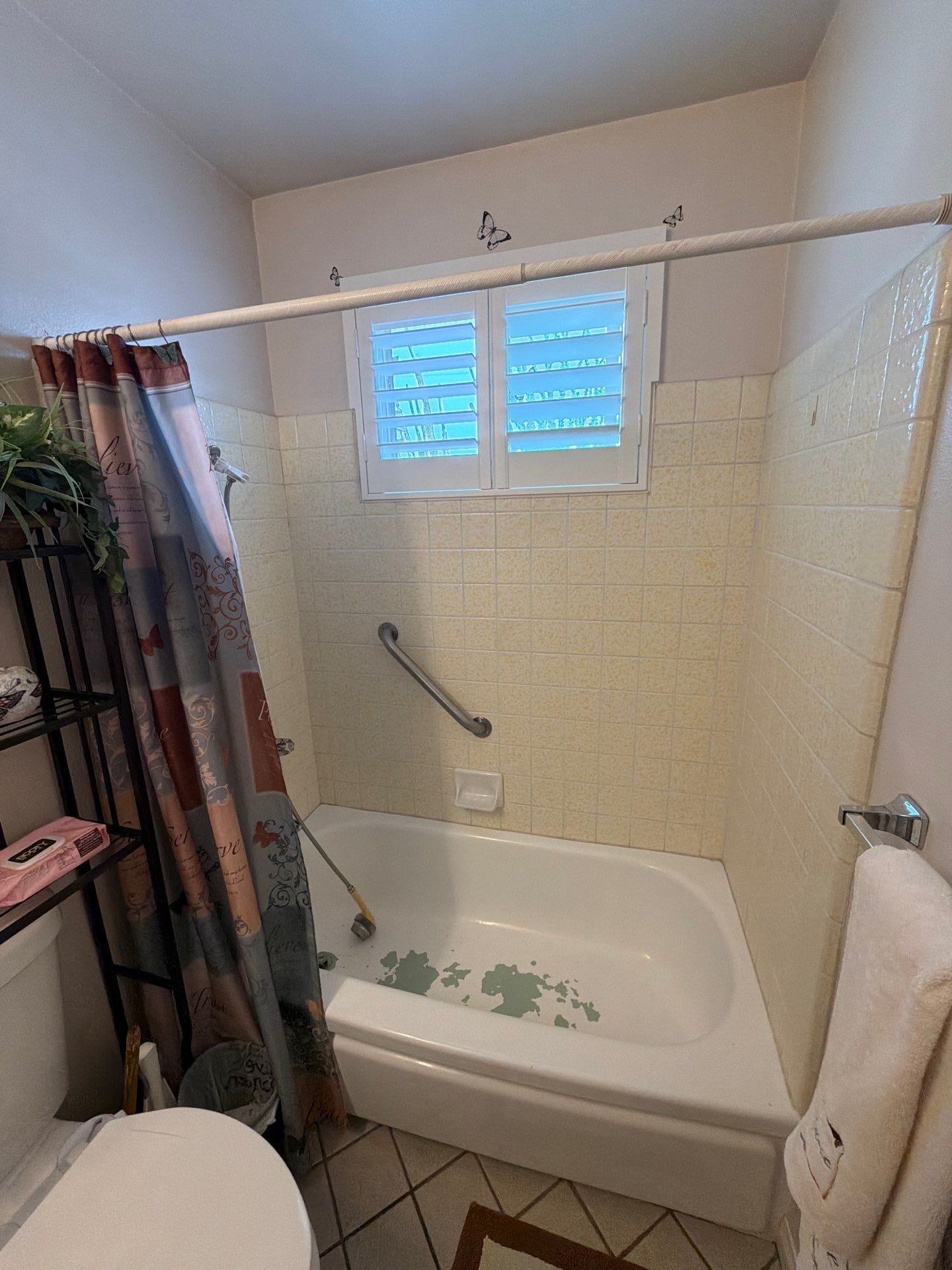 Before Bath Remodel