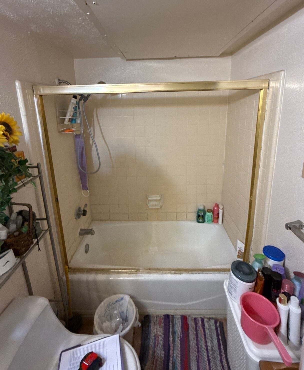 Before Bath Remodel