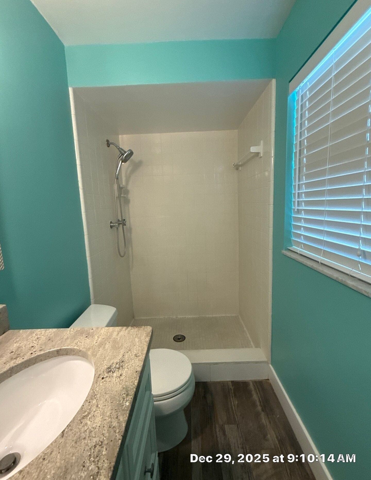 Before Bath Remodel