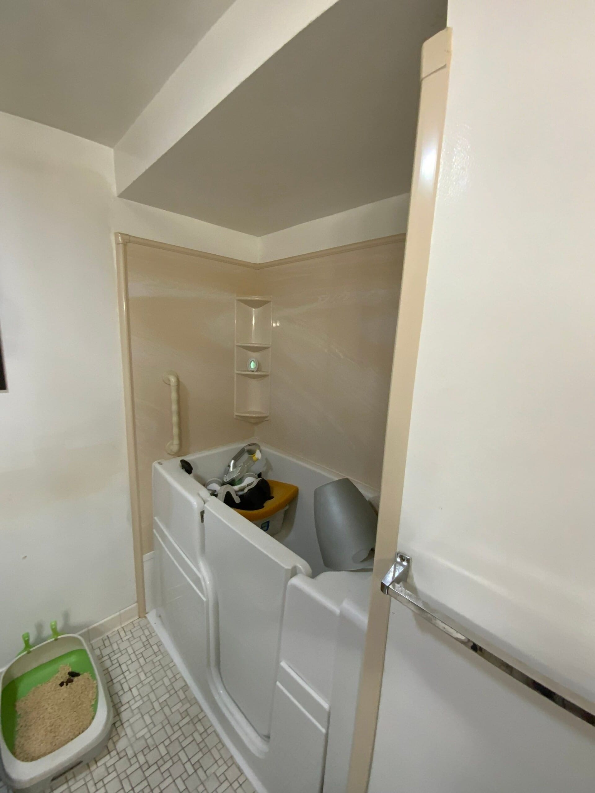Before Bath Remodel