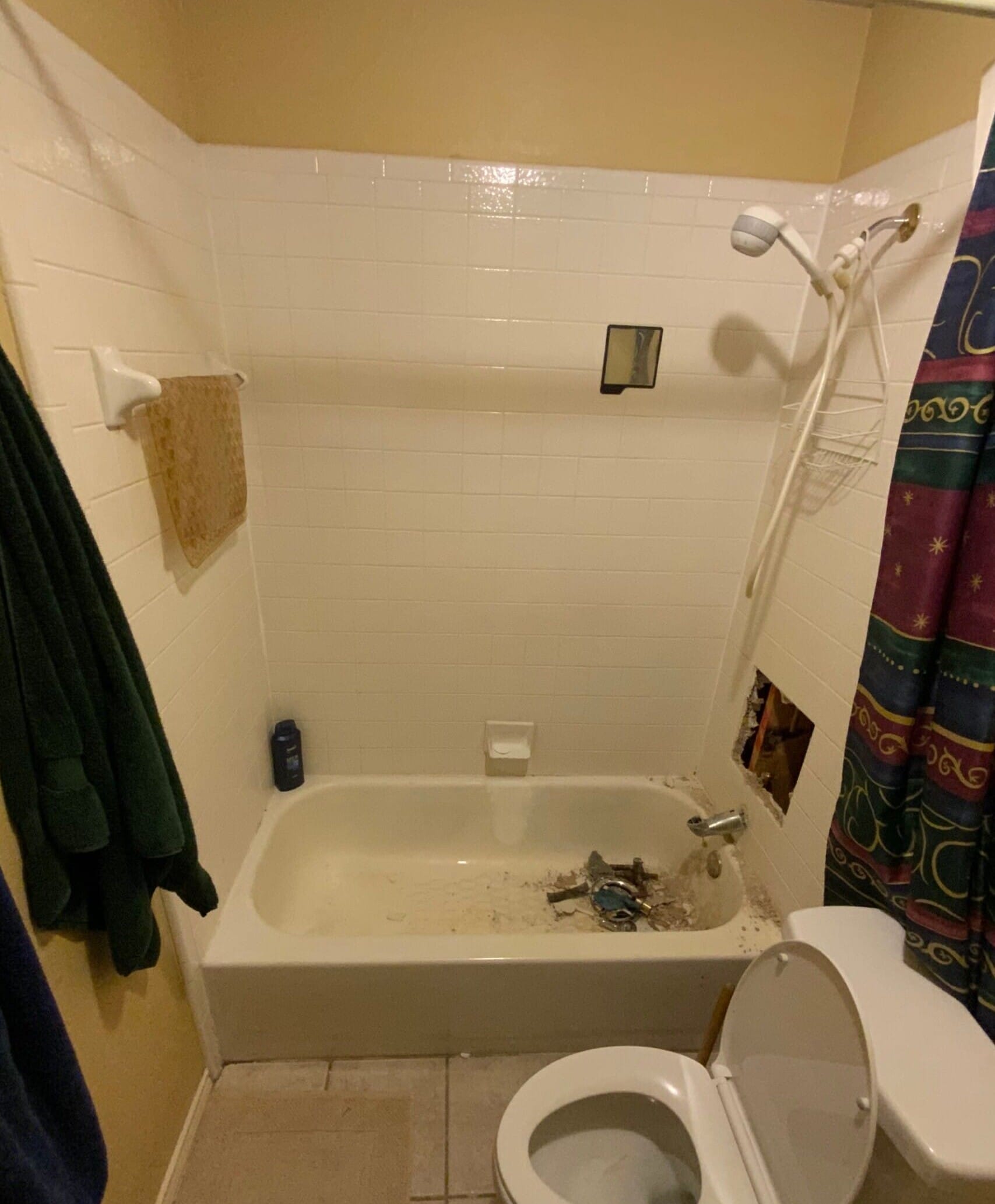 Before Bath Remodel