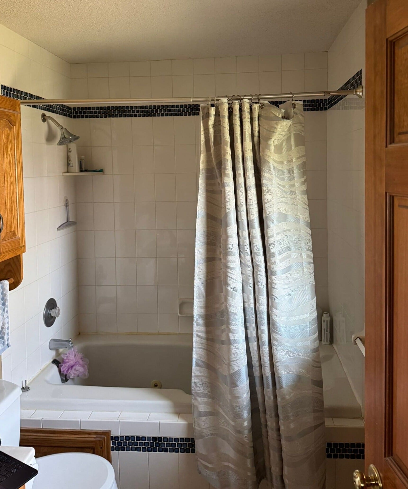 Before Bath Remodel