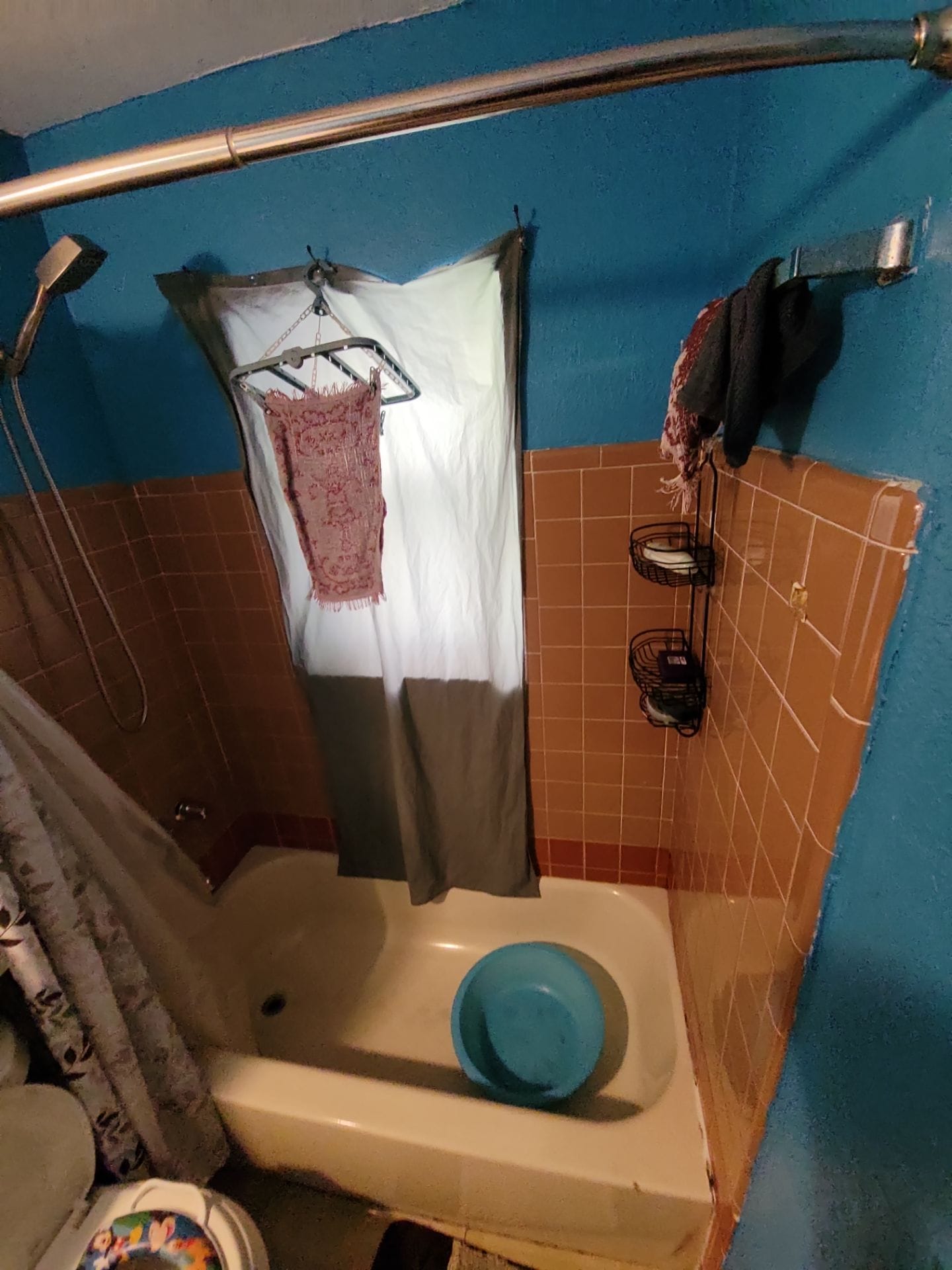 Before Bath Remodel