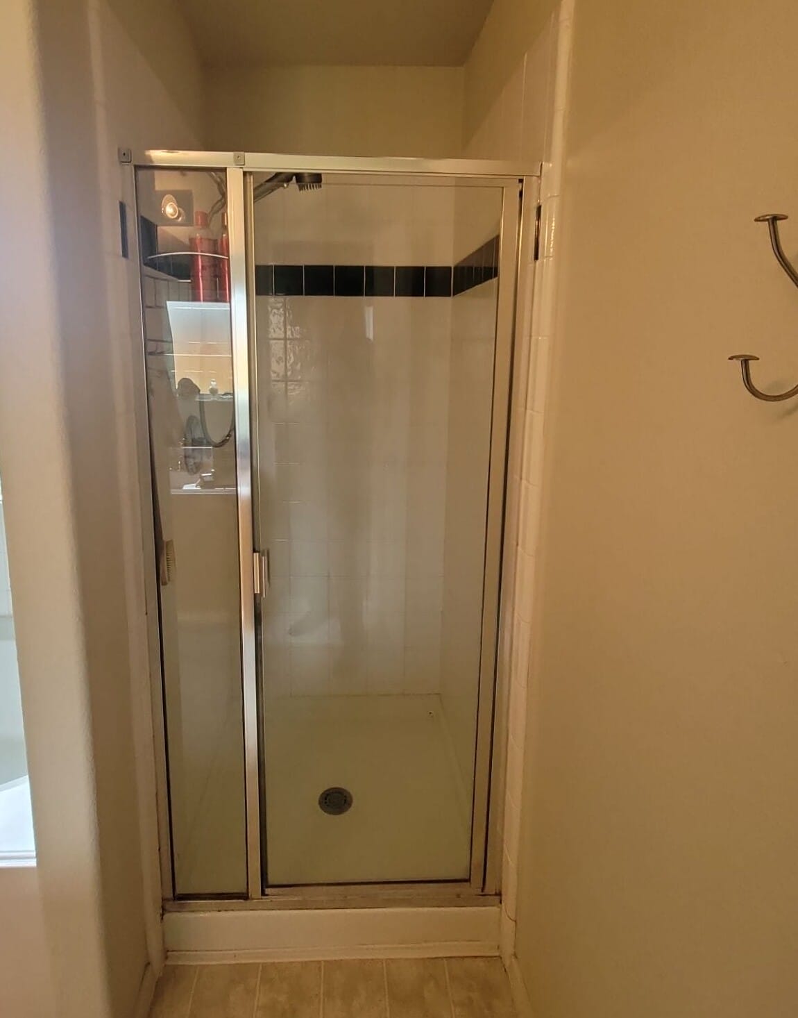 Before Bath Remodel