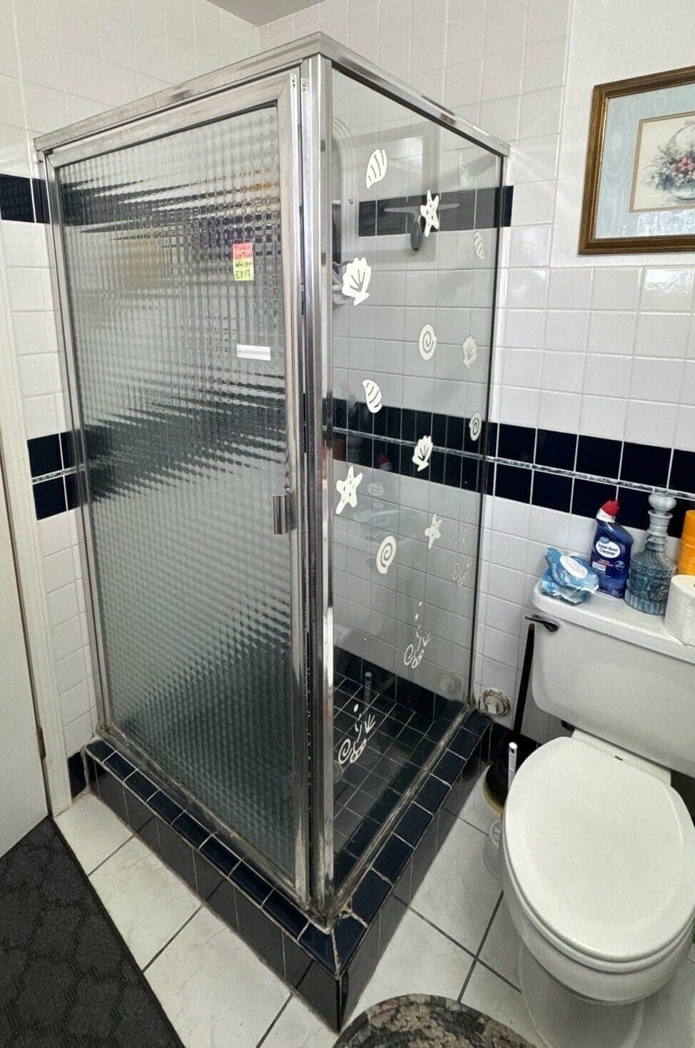 Before Bath Remodel