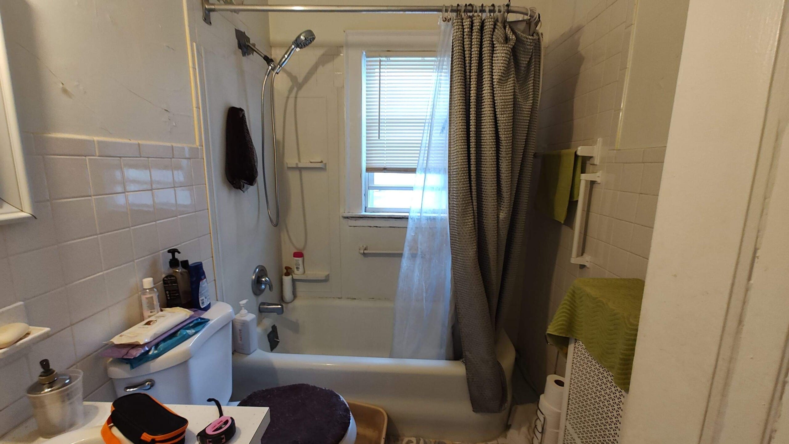 Before Bath Remodel