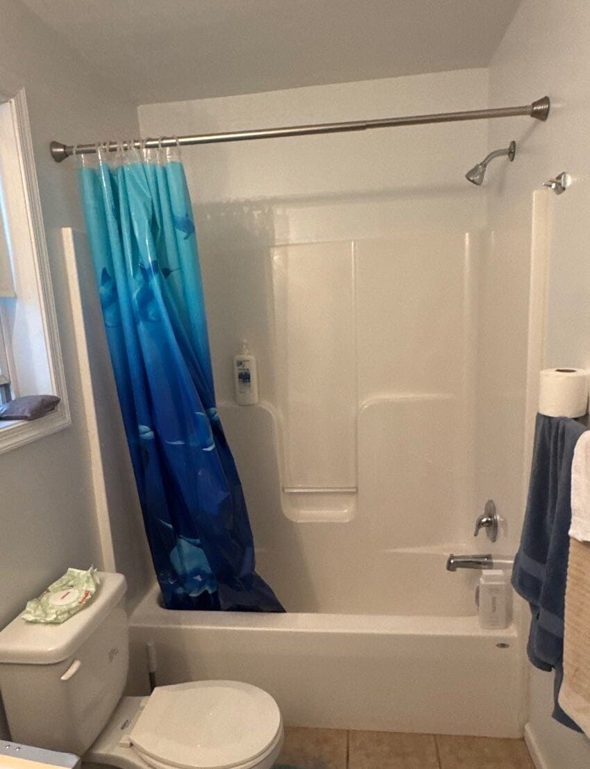 Before Bath Remodel