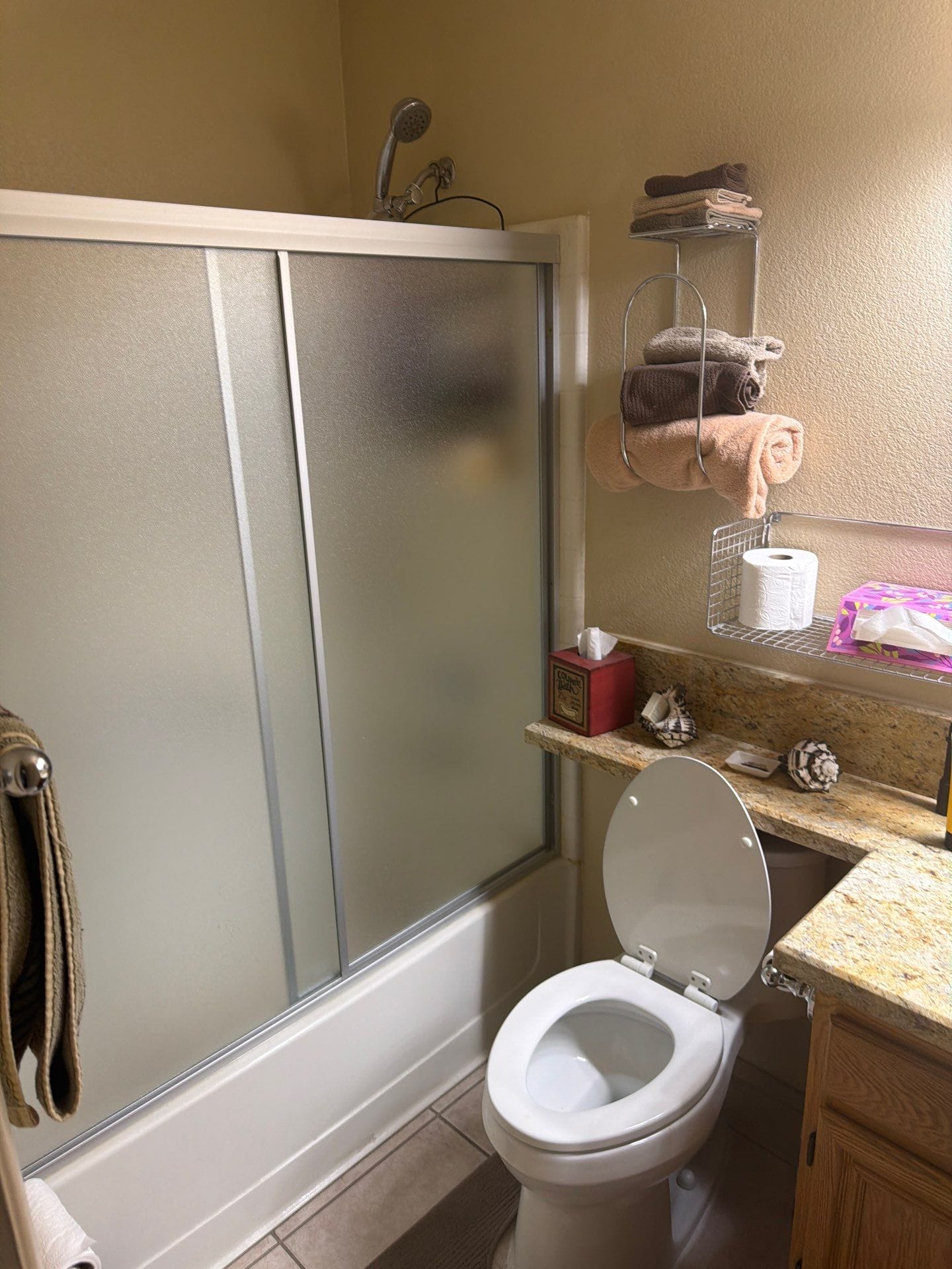 Before Bath Remodel