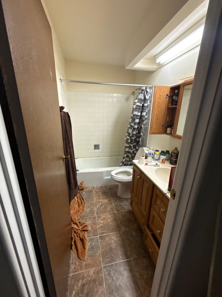 Before - Tub To Shower Conversion, E Kenilworth Ave, Palatine, IL 60074