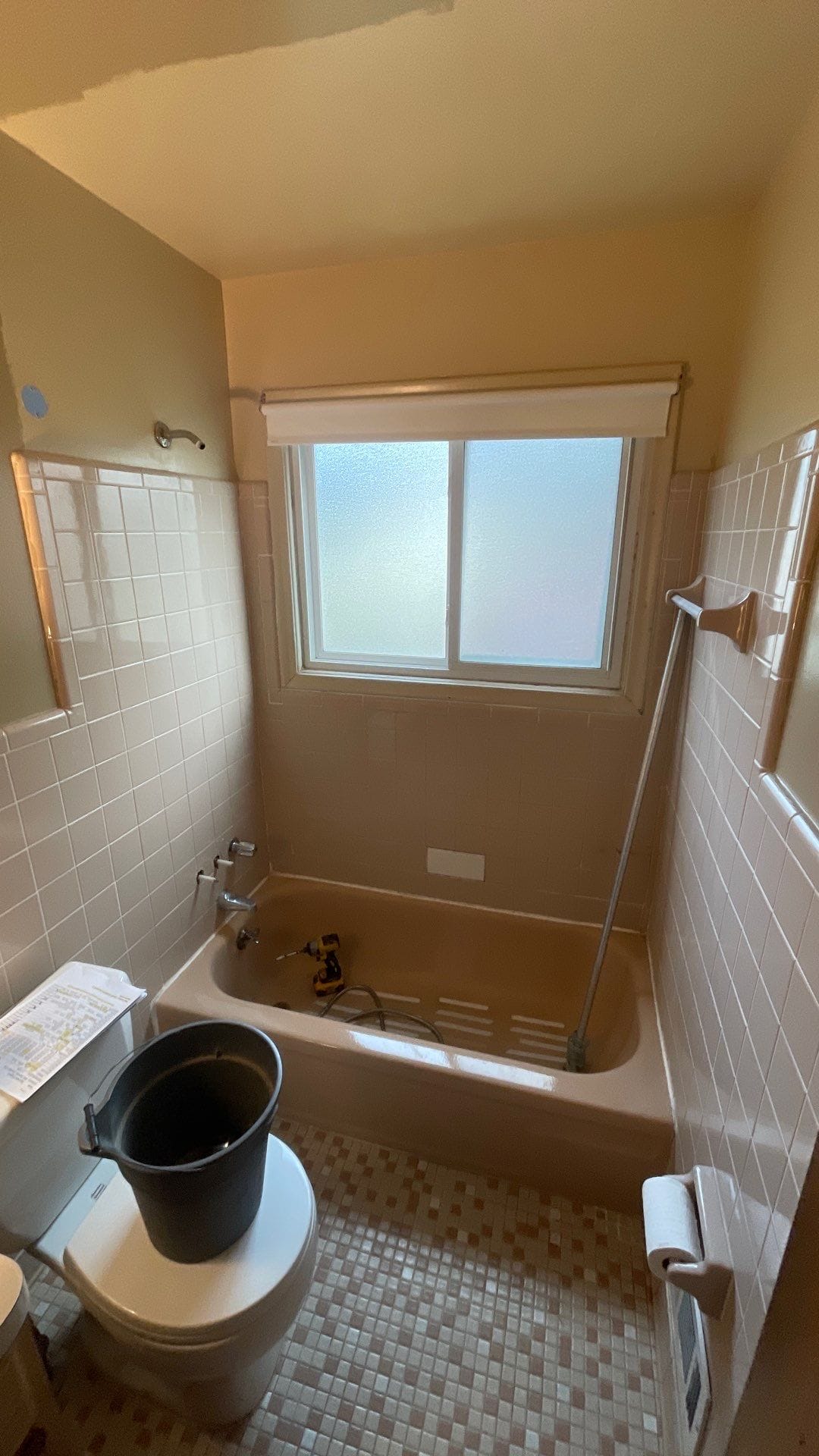 Before Bath Remodel