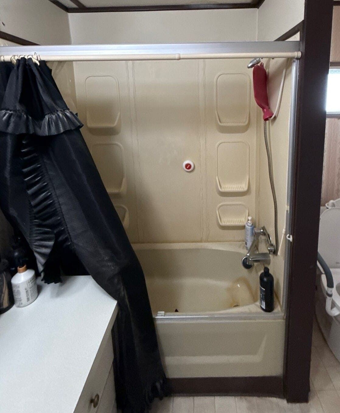 Before Bath Remodel