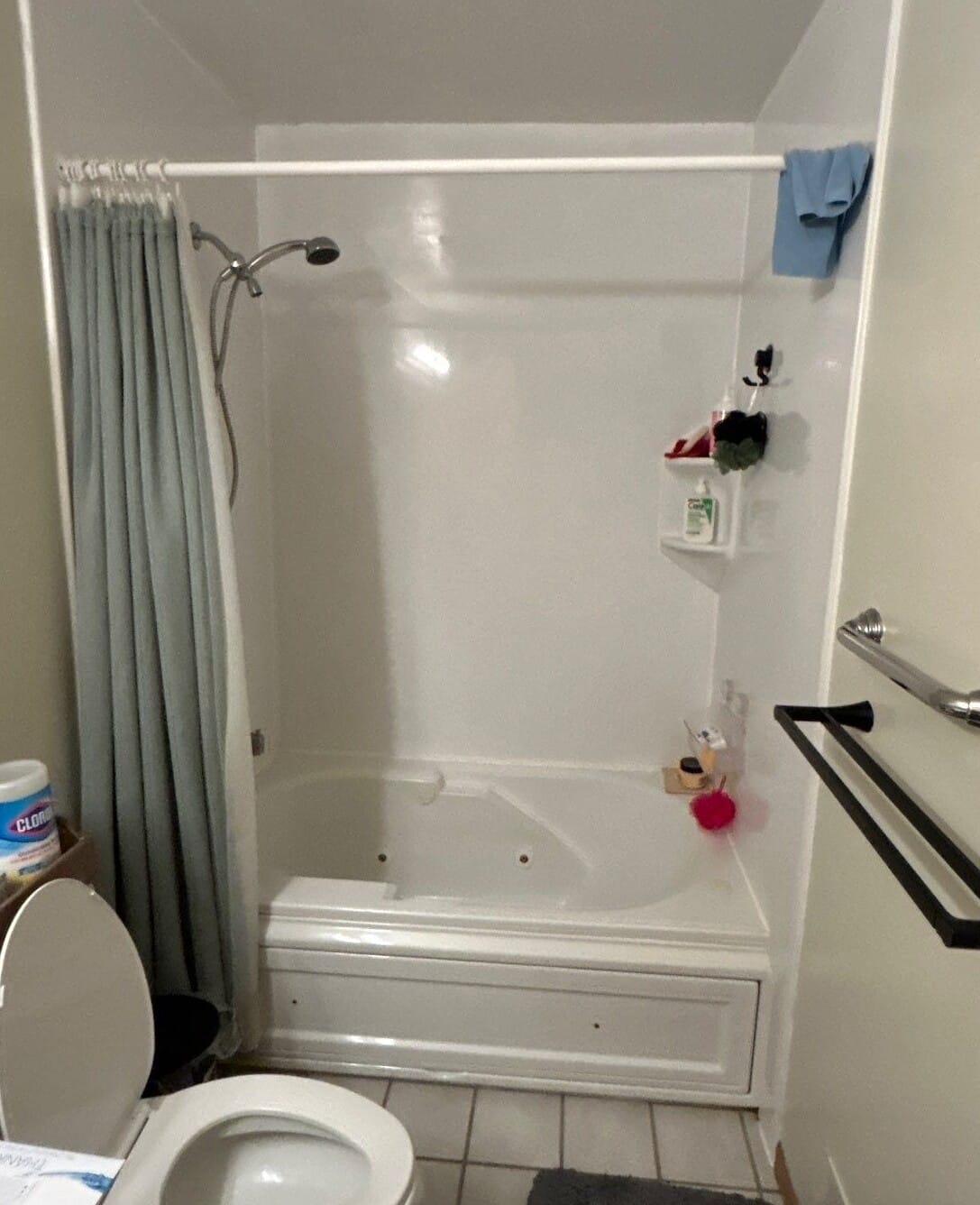 Before Bath Remodel