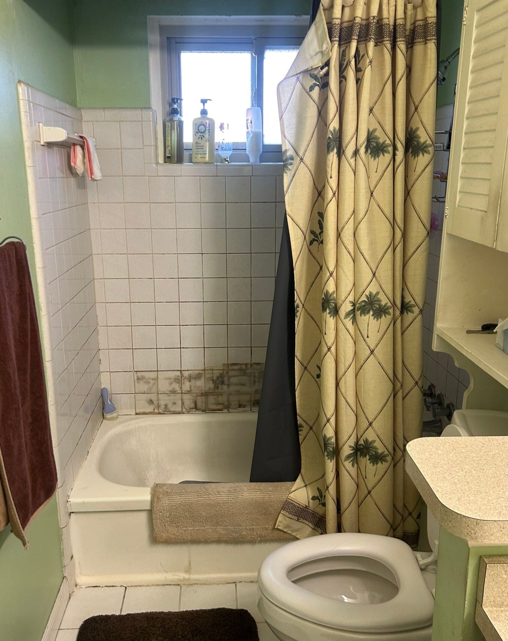 Before Bath Remodel