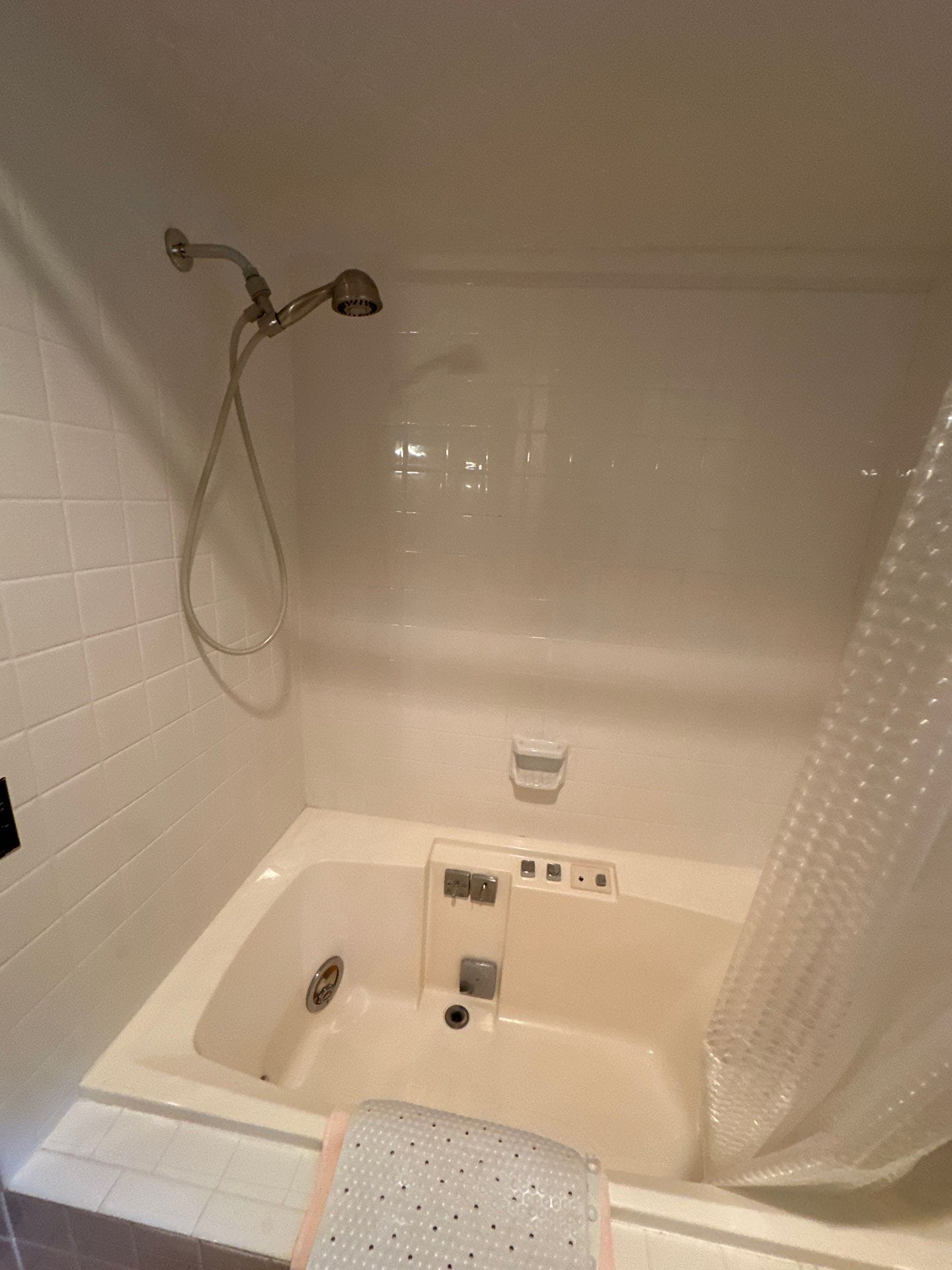 Before Bath Remodel