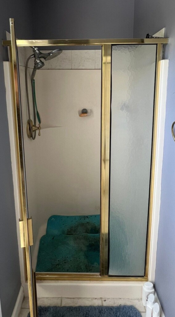 Before - Shower Remodel, Medianh Dr, Mount Pleasant, SC 29466