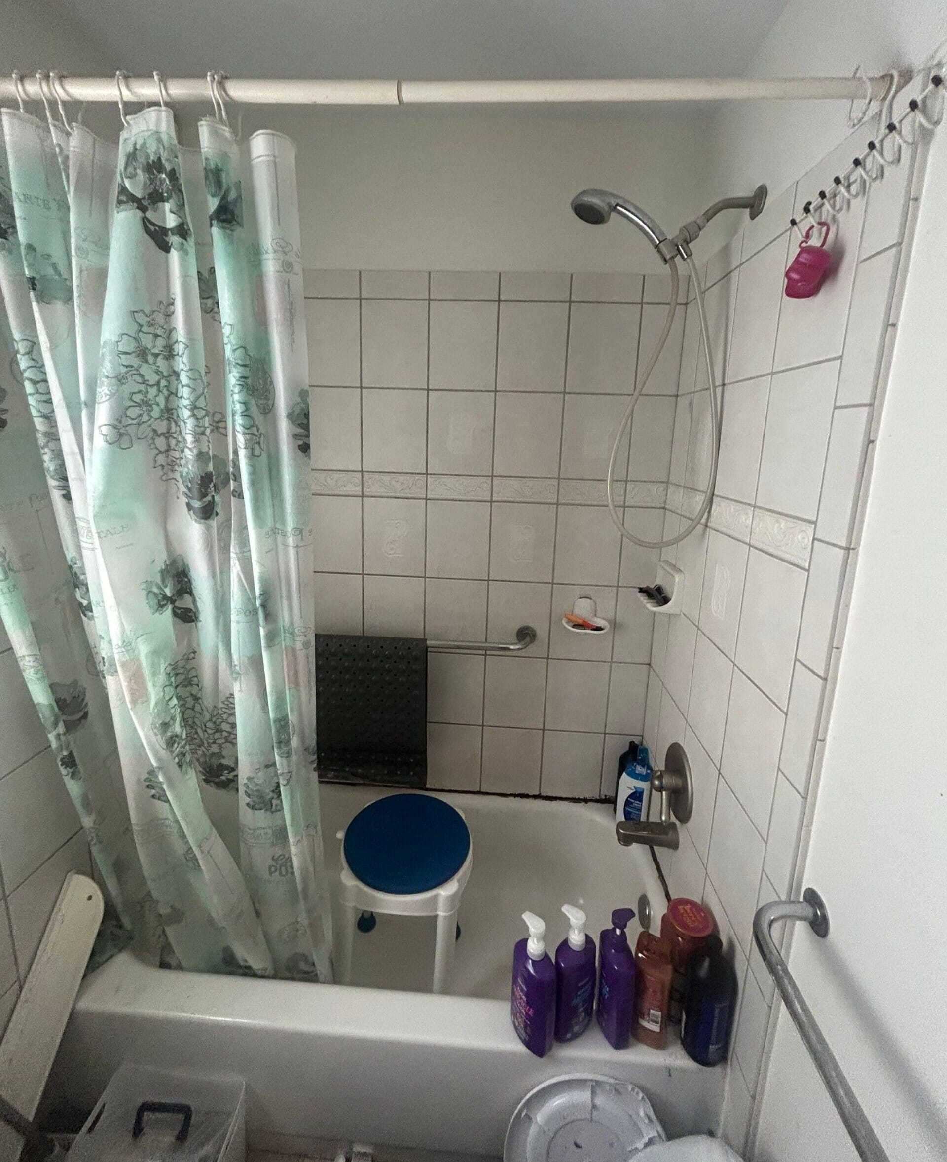 Before Bath Remodel