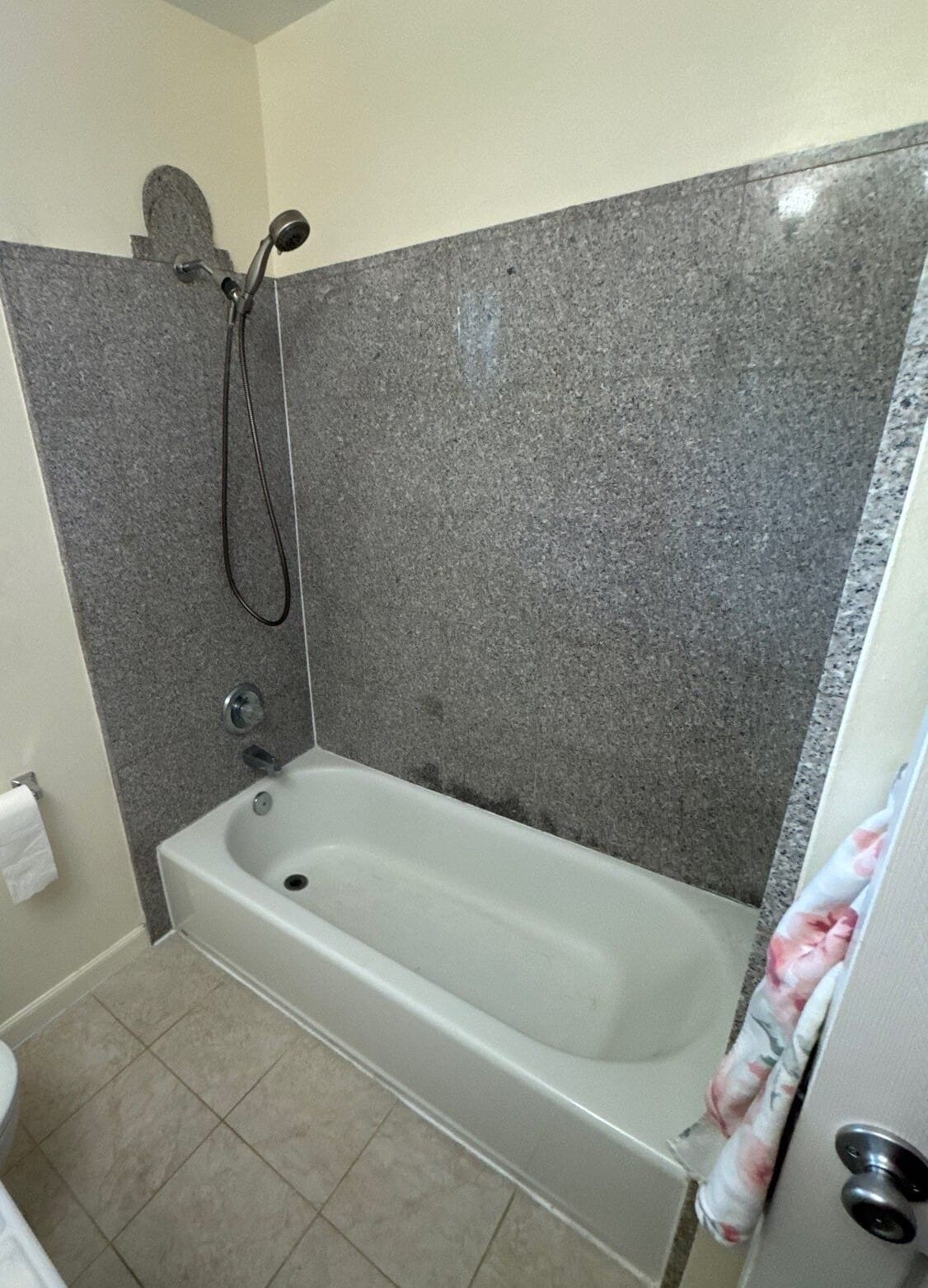 Before Bath Remodel